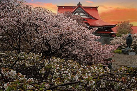 ⛩️ 남명산 자안원 청롱사 (난메이산 지겐인 세이류지) 이미지 10